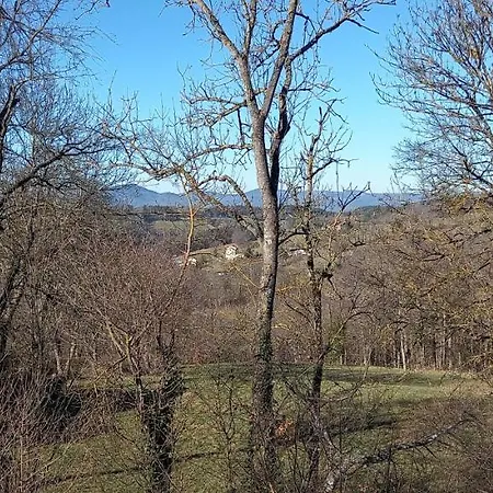 Apartment Chez Zabou *